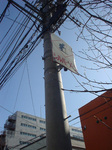 DSC06384.jpg
