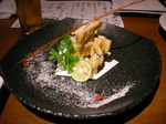 SANY0156aaa.jpg
